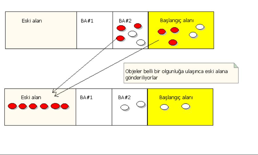 Aşama 3