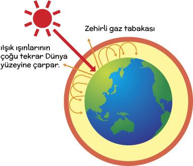 oğal kaynaklı unsurlar ünya nın kendi dengesini kurması açısından büyük önem arz eder. >> Biyo-çeşitliliği tehdit eden asıl etken insandır.