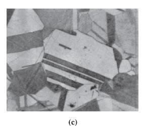 10 Şekil 1.11. a) Hatasız kristal kafes yapısı, b) Kristale gerilme uygulanması sonucu ikiz ve ikiz sınırları oluşumu, c) Pirincin mikroyapısında ikizleme.