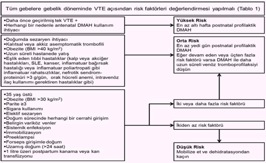 Sağlık Bakanlığı gebelikte venöz