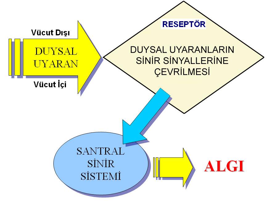 Zararlı