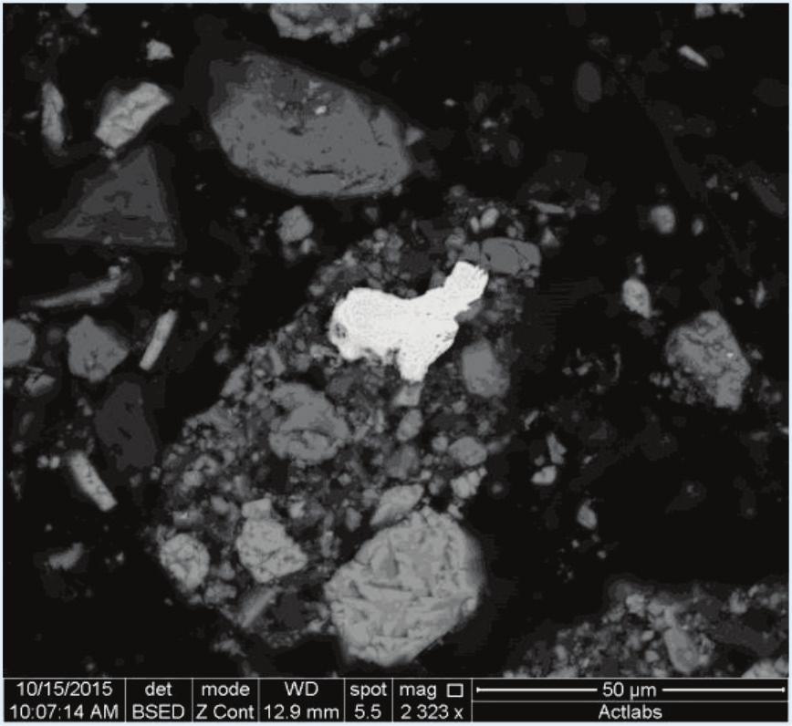 68 Yamantaş ve Can / Yerbilimleri, 2018, 39 (1), 65-78 Şekil 3. -20 µm tane boyu aralığında bulunan altın tanelerine ait elektron mikroskop görüntüsü. Figure 3.