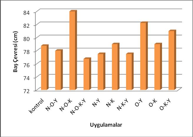 21 Çizelge 4.2. Sera koşullarında bitki büyümesini artırıcı rizobakterlerin marulda baş çevresine etkisi ve kontrol grubuna göre değişim oranı Veriler Baş Çevresi (cm) % değişim N-O-Y 78.