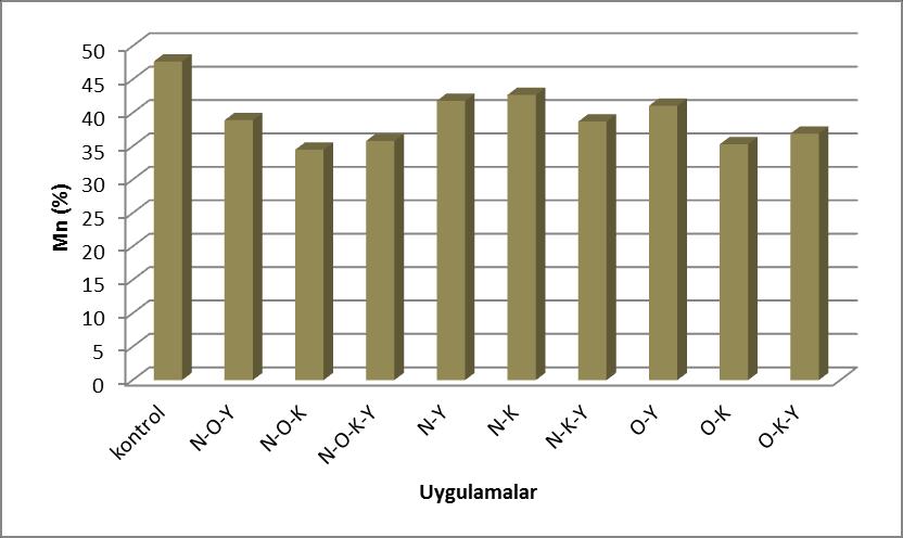 38 Çizelge 4.9.7. Sera koşullarında bitki büyümesini artırıcı rizobakterlerin marulda Mn içeriğine etkisi ve kontrol grubuna göre değişim oranı Veriler Mn (%) % değişim N-O-Y 38.90 cd -18,5 N-O-K 34.