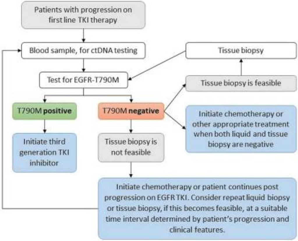 in lung cancer at progression under