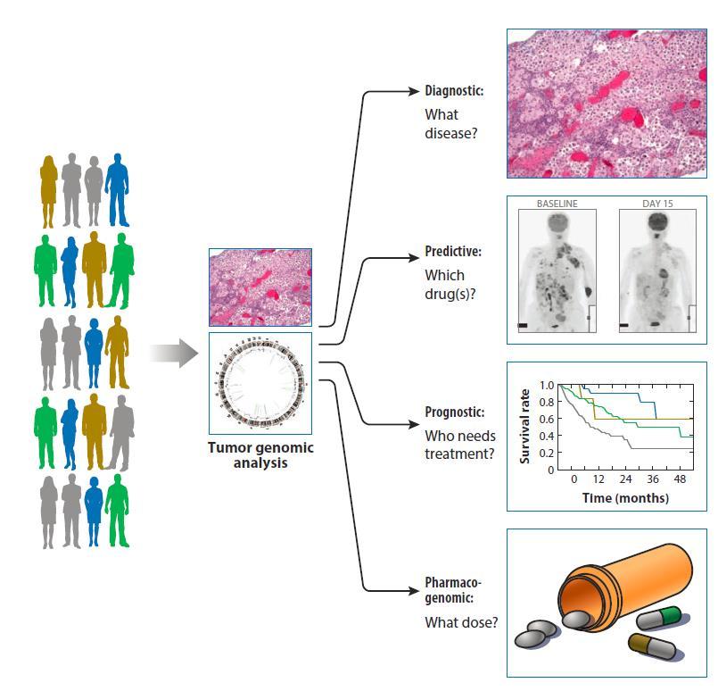 Genomics-Driven Biomarkers Preventive S.