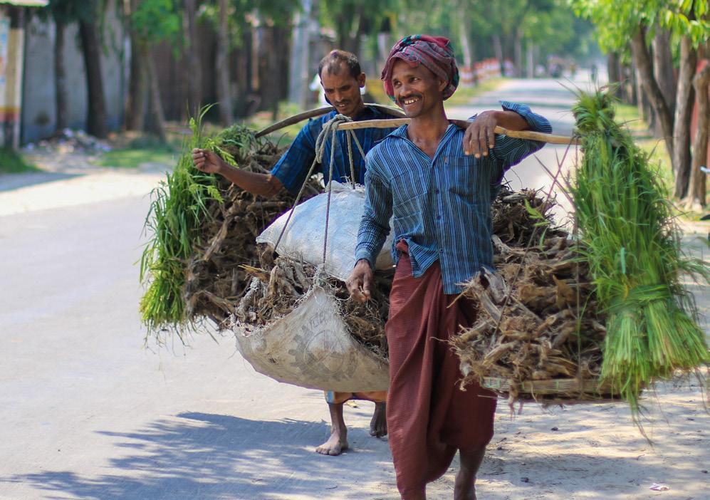 Halkın ancak yüzde 30 nun düzenli bir işe ve gelire sahip olduğu Bangladeş te yüzyıla yakın süren sömürü düzeni ve ardından başlayan iç savaş halkın insani bir yaşam sürmesine engel olmuş.
