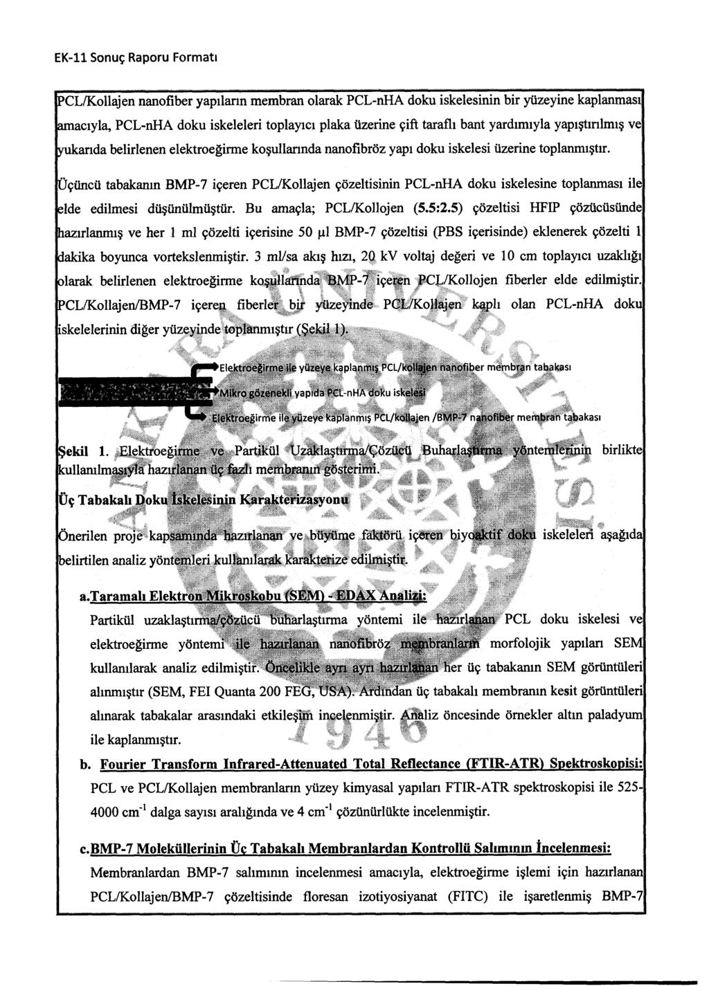 PCL/Kollajen nanofıber yapılann membran olarak PCL-nHA doku iskelesinin bir yüzeyine kaplanması amacıyla, PCL-nHA doku iskeleleri toplayıcı plaka üzerine çift taraflı bant yardımıyla yapıştırılmış ve