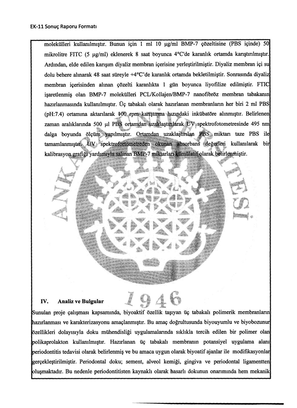 molekülleri kullanılmıştır. Bunun için 1 mi 10 pg/ml BMP-7 çözeltisine (PBS içinde) 50 mikrolitre FITC (5 pg/ml) eklenerek 8 saat boyunca 4 C'de karanlık ortamda karıştırılmıştır.