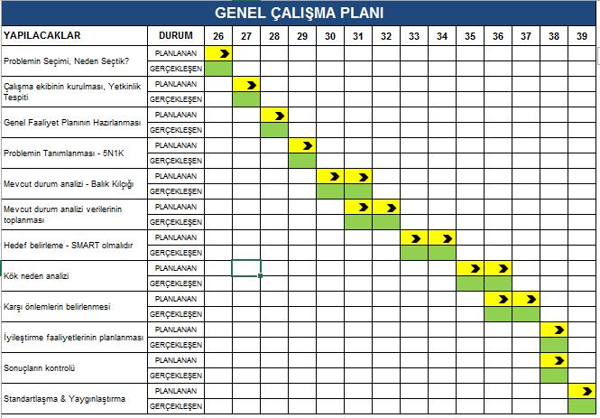 5. Adım: