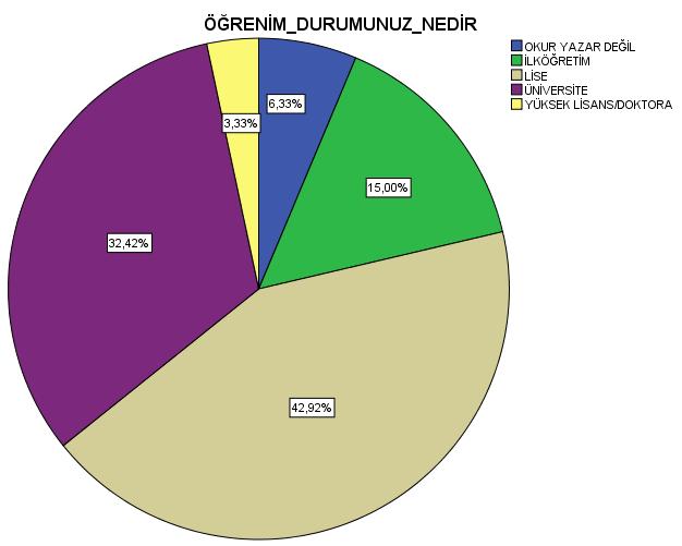 SORU 4. ÖĞRENİM DURUMUNUZ NEDİR?