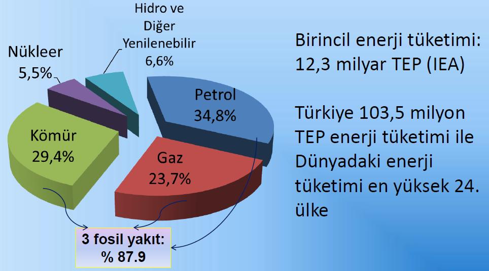 Dünya