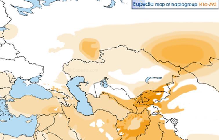 açısından (Türkiye de hangi gen araştırması esas alınarak çizildiği bilinmemekle birlikte) aşağıdaki haritada; Türkmenlerde daha yüksek oranlarda olmak üzere Sibirya dan başlayarak tüm Türk