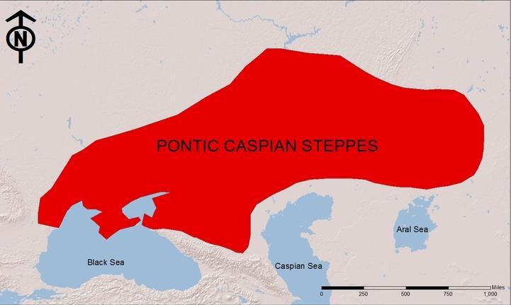 KUZEY TÜRKLERİ Altay-Türk dili konuşan halkların önemli bir bölümü, binlerce yıl boyunca Kafkas- Karadeniz steplerine yerleşmişlerdir.