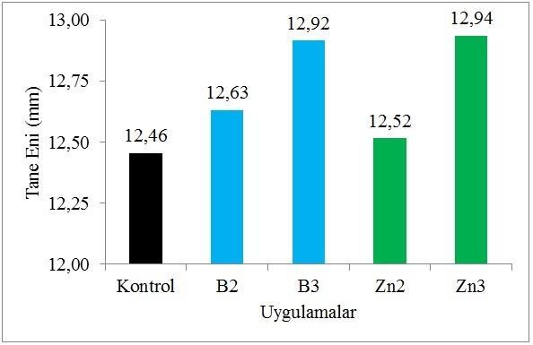 Şekil 4.1.1.1. Çinko ve bor mikro elementlerinin tane eni üzerine etkileri Merlot üzüm çeşidinde 12,46 12,94 mm arasında değiştiği belirlenen tane eni ortalamasını O.I.V.