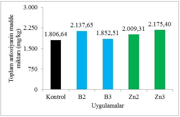 Çizelge 4.1.11.1. Çinko (Zn) ve bor (B) mikro elementlerinin toplam antosiyanin madde miktarı üzerine etkileri Uygulamalar Toplam antosiyanin madde miktarı (mg/kg) Kontrol 1.806,64 B 2 2.137,65 B 3 1.