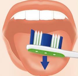 Dişlerimi Nasıl Fırçalamalıyım?