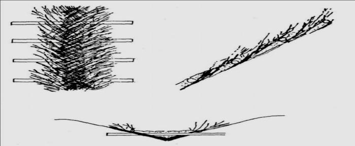 Sel oyuntularında çelik daldırma; en fazla 3 m. ye kadar sel oyuntularına dallı çelik demetleri birbirlerine çapraz binecek şekilde yerleştirilirler. 2 m.