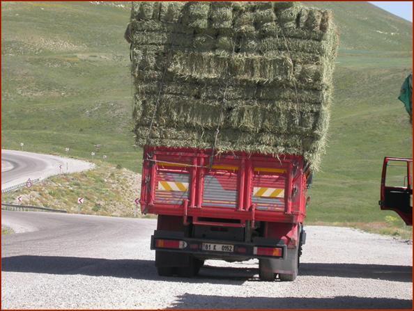 Erzurum da Saman Kullanımı