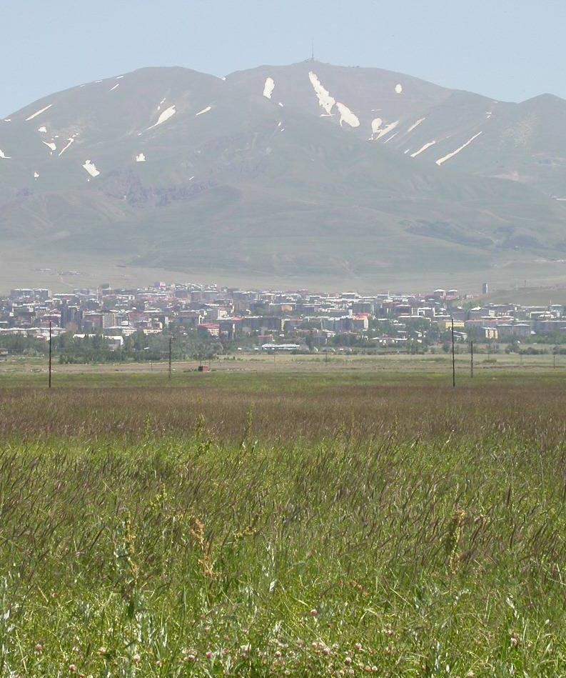 Erzurum da Çayırların Sorunları İlkbahar