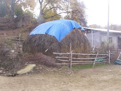 Şansımızı Kaybettik