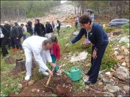 PLANLADIĞIMIZ AĞAÇ DİKME