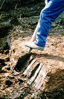 Bu sayede organik toprak, mineral toprağa göre daha fazla su tutabilir.