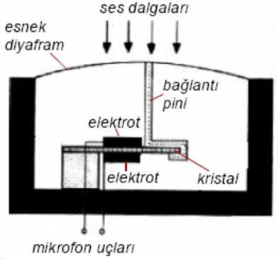 oluşur. Şeritli mikrofonların empedeansı çok düşük, kaliteleri yüksektir. Sarsıntıdan, rüzgârdan olumsuz etkilendiklerinden kapalı ortamlarda kullanılır.