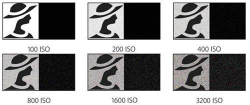 Nor- mal gün ışığında 100 ile 400 arası ISO lar kullanılır.