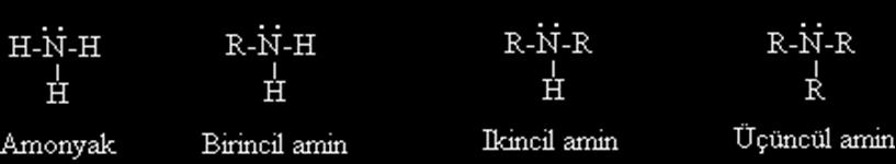 AMİNLERİN ADLANDIRILMASI Aminler amonyaktaki bir, iki ya da her üç hidrojenin organik gruplarla yer değiştirmesiyle türemiş ve bu nedenle amonyağa benzeyen organik bileşiklerdir.