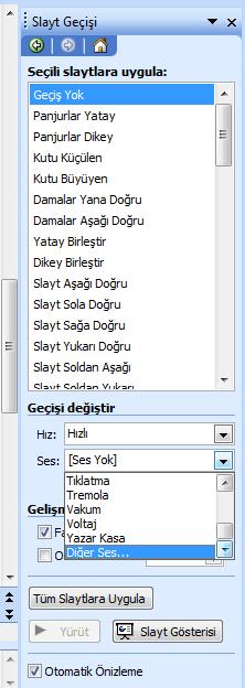 Diğer ses (Other Sound ) seçimini yapmadan önce dikkat etmek gereken