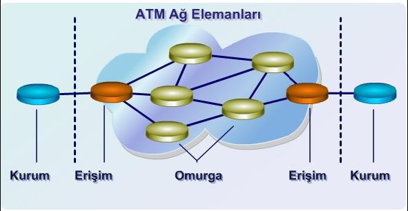 ATM ANAHTARLARININ TÜRLERİ ATM ağında anahtarlar üç yerde görev üstlenebilirler. Üstlendikleri görevlere göre anahtarlar; 1. Kurum Anahtarları, 2. Erişim Anahtarları, 3.