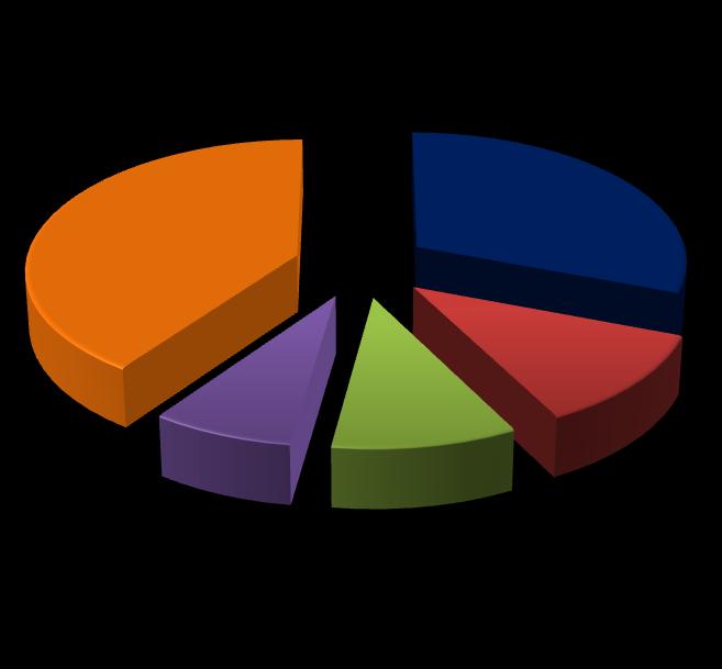 tr Ortak Adı Payı (TL) % F.A.B. Partners LP 100.000.000,00 30,68 Turkom Tur. Enerji İnş. Gıda Yat. A.Ş. 40.555.987,00 12,45 Mehmet Kutman 30.536.