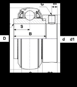 MEVCUT REFERANSLAR Eksantrik kilitleme bileziği ile sıkıştırılmış EX AGR (sadece 1 dönüş yönü) 1- Standart versiyondan daha geniş boyutlar d D C B B1 S d1 m B2 G r Cr C0 Ağırlık Yük kapasiteleri (kn)