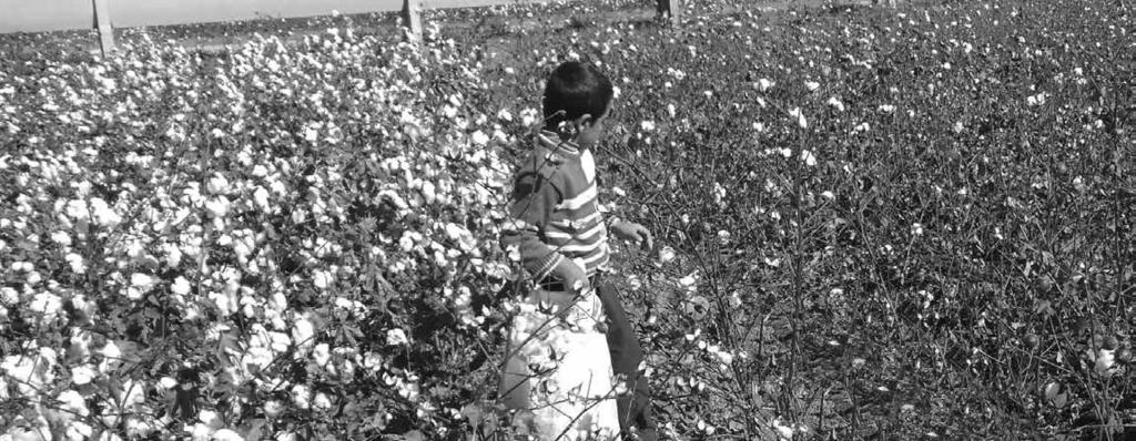 Önsöz Kalkınma Atölyesi, 2000 li yıllardan itibaren Türkiye de çocuk işçiliğinin en kötü biçimlerinden olan mevsimlik ve gezici tarım işlerinde çalışan çocuklara yönelik çeşitli araştırma ve eylem