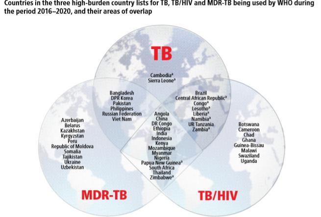 Dünyada Tüberküloz: ~10.4 milyon TB li ~1.8 milyon ölüm. HIV + TB birlikteliği %10. vakaların >%50 Güney Afrikadan.
