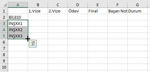 Örnek Uygulama A3:A5 seçili iken Mouse ile seçili alanın sağ alt köşesine gidildiğinde imleç + işaretine