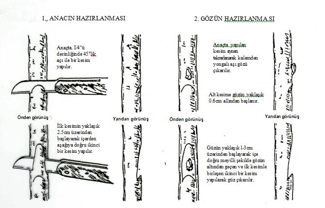 Şekil 6.5.