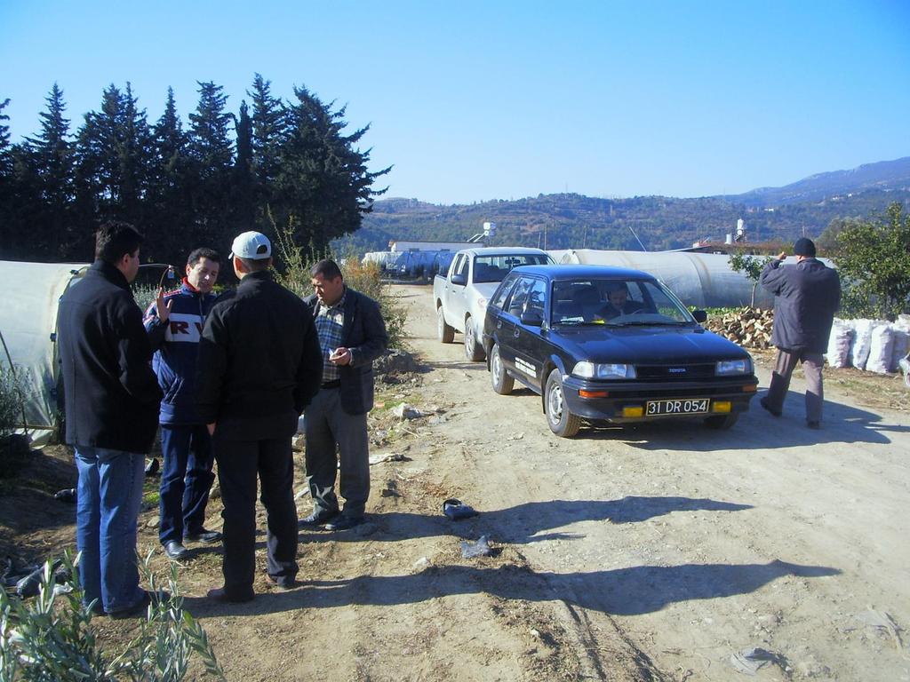 Teknik ekipler tarafından zeytin