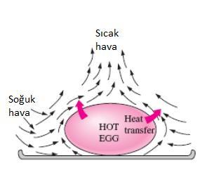Doğal konveksiyon; akışkan içinde var olan sıcaklık farkları sebebi ile akışkanın hareket etmesi ile ortaya çıkan taşınımdır.