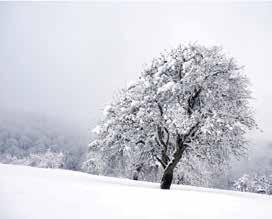 İlker ŞAHİN KIS FOTOGRAFCILIGI Fazla Pozlama Özellikle kar fotoğrafı çekerken, kar renginin genellikle griye doğru kaydığını görmüşüzdür. Bu durumu engellemek için poz telafisini +0.3 veya +0.