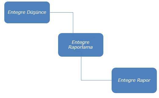 Entegre Raporlama Nevzat