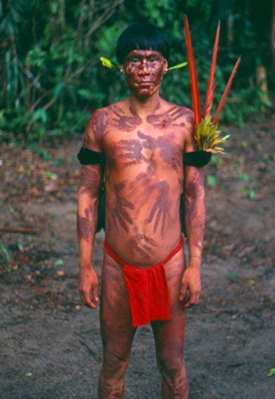 Yanomamo yerlileri Brezilyada yaşar Günlük Na tüketimi 1 mmol (100 mg dan az)