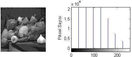 görüntü ve (d) Kontrastı gerilmiş gri seviyeli görüntünün histogramı Kontrast germenin dönüşüm fonksiyonu