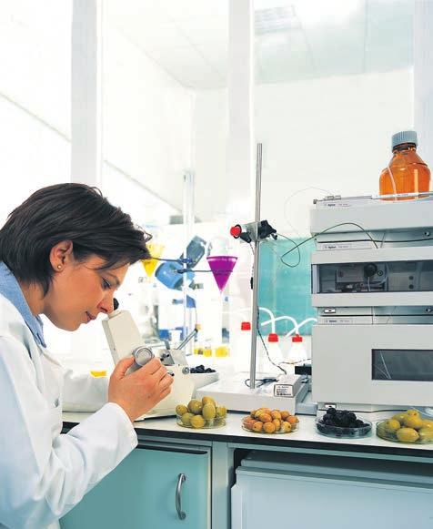 Laboratuvarı Testing Laboratory