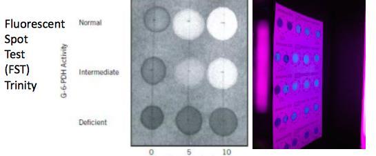 Florosan spot test 10 microl tam kan (EDTA/heparin) 100 microl G6P, NADP, saponin