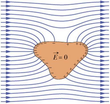 Dış Elektrik Alan İçinde İzole İletken: Bir iletkenin yüzeyinin eş-potansiyel olduğunu ve elektrik alan çizgilerinin de eş-potansiyel yüzeylere dik olduğunu biliyoruz.