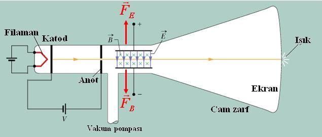 Elektronun Keşfi : Yandaki şekilde bir katod ışınları tüpü görülmektedir. Filamanın ısıttığı katod' tan elektron yayınlanır.
