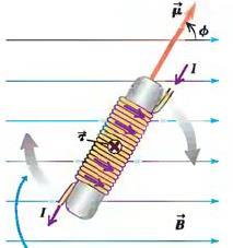 Manyetik Dipol Moment : Sarım sayısı N olan ve i akımı taşıyan bir akım halkası B manyetik alanı içine konulduğunda üzerine etkiyen tork NiAB ile verilir.