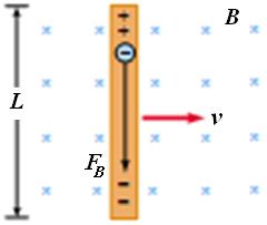 Örnek : Uzunluğu L olan bir iletkeni, şekilde gösterildiği gibi, sayfa düzleminden içeri doğru olan düzgün bir manyetik alan içinde alana dik yönde sağa doğru sabit bir v hızıyla hareket ettirelim.